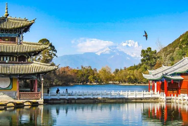 تور اقساطی چین یا تور نقدی، کدام با صرفه تر است